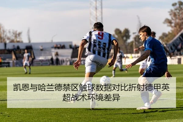 img_1784045495082_1809_1_784.jpg